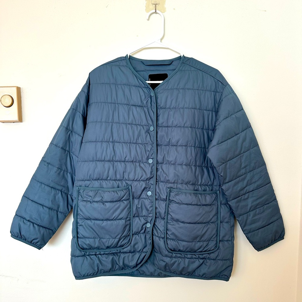 Everlane ReNew Teal Puffer